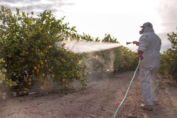 Best Bed Bug Extermination  in Omaha, NE