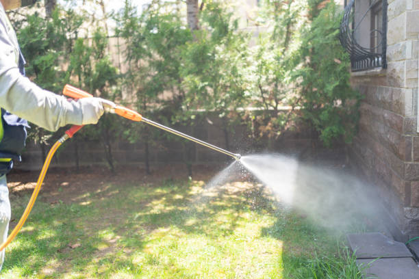 Reliable Omaha, NE Pest Control Solutions