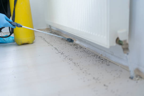 Professional Pest Control in Omaha, NE